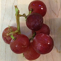 Math Picture Book: The Grapes of Math