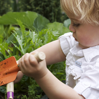 Toddlers Know How to Learn!