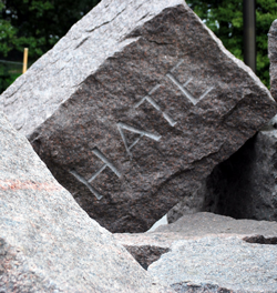 How to Get People to Stop Saying ‘I Hate Math’