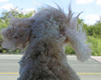 Motivation or Inspiration – How do you teach?