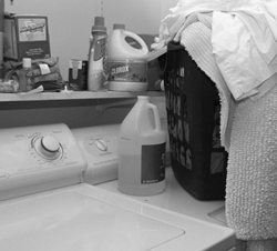 Mathematician Parent: Libby Often