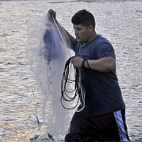 Teach a Man to Fish… Really?