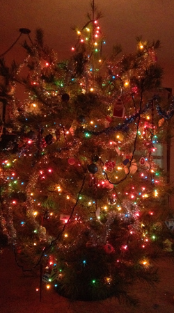 2011 Christmas Tree